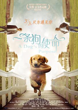 而正在热映的电影《飞行家》，却以独特的创作视角 有爱就是家！